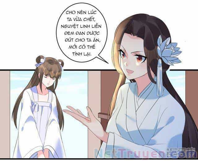 Vương Phi Có Độc! - Chương 4 - ảnh 11