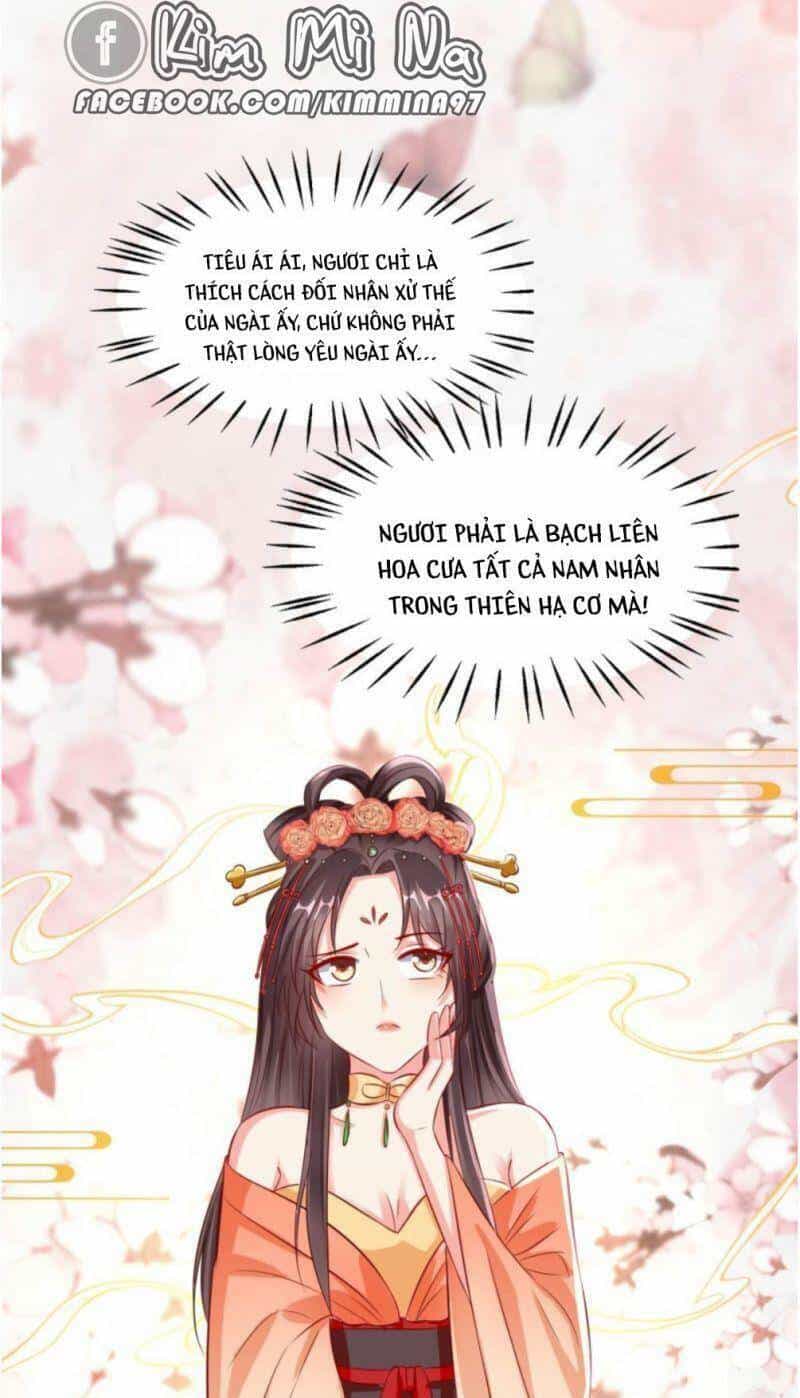 Vương Phi Là Đoá Bạch Liên Hoa - Chương 26 - ảnh 27