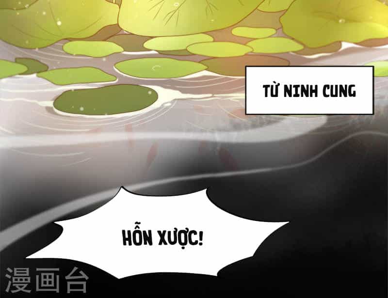 Vương Phi Thật Uy Vũ - Chương 3.1 - ảnh 6
