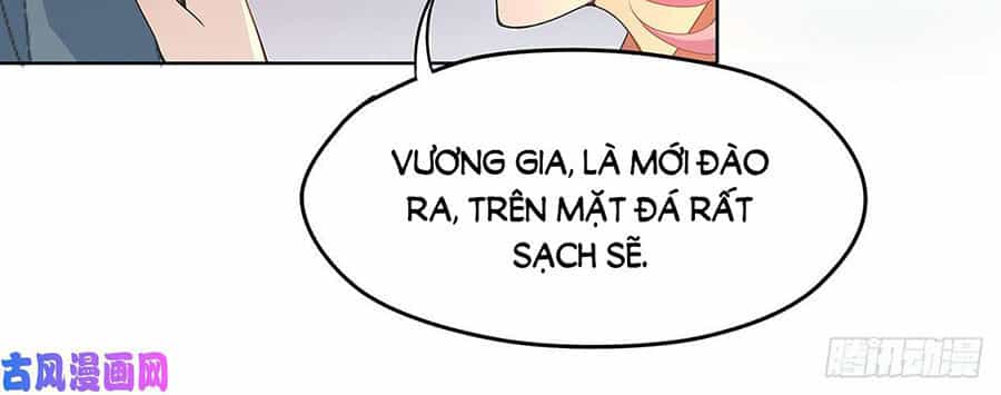Vương Phi Thật Uy Vũ - Chương 22.2 - ảnh 4