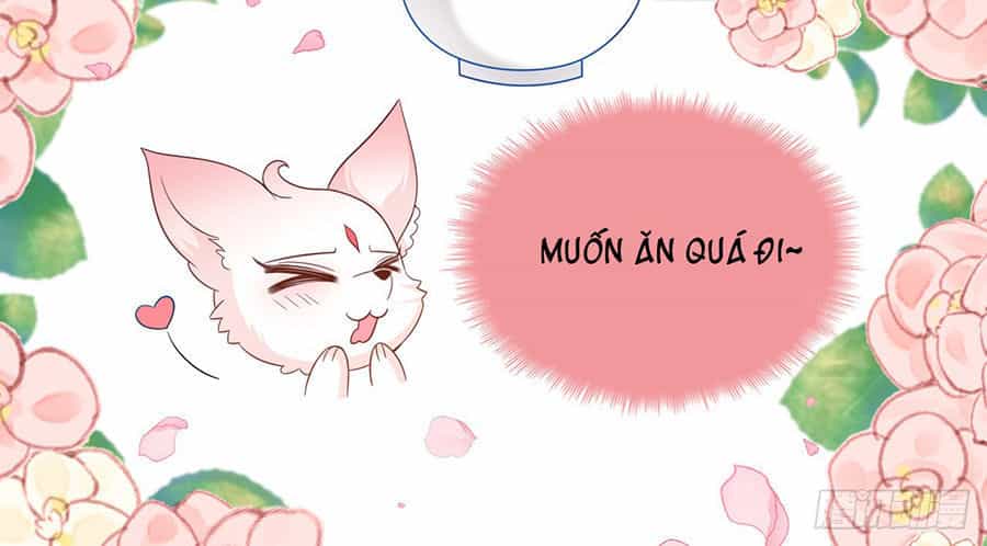 Vương Phi Thật Uy Vũ - Chương 40 - ảnh 14