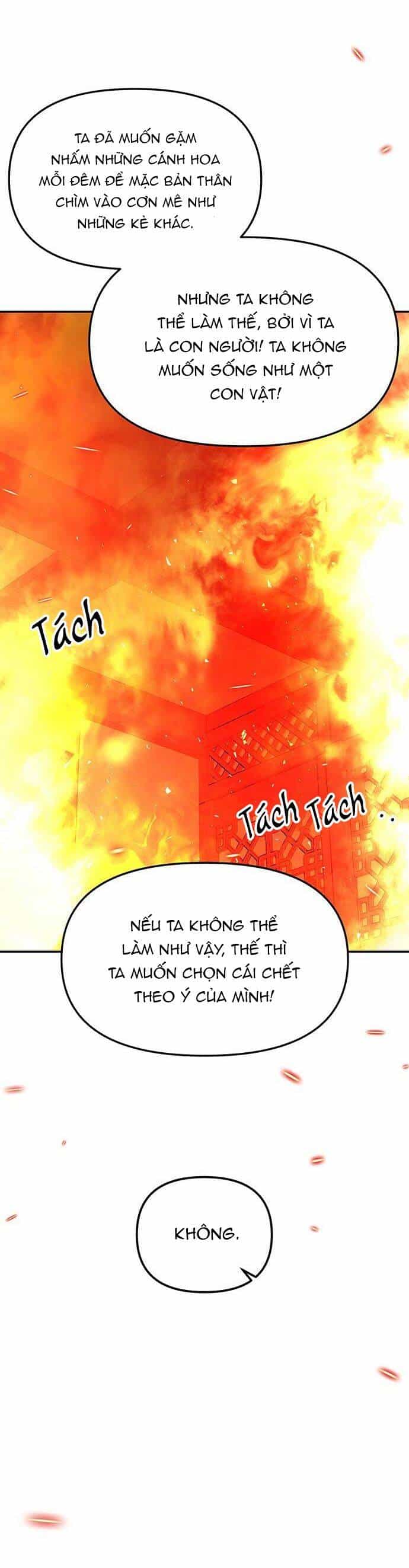 Vương Tử Huyền Bí - Chương 67 - ảnh 75