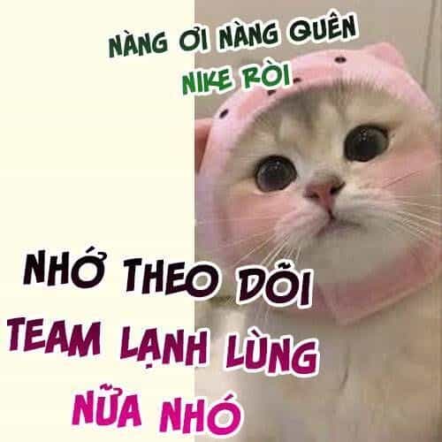 Vưu Vật - Chương 131 - ảnh 21