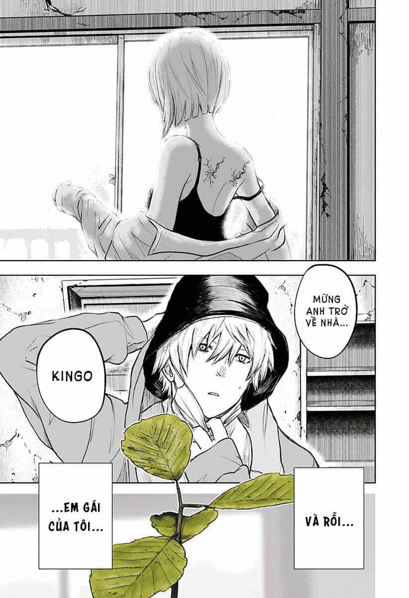 Wild Strawberry - Chương 1 - ảnh 9