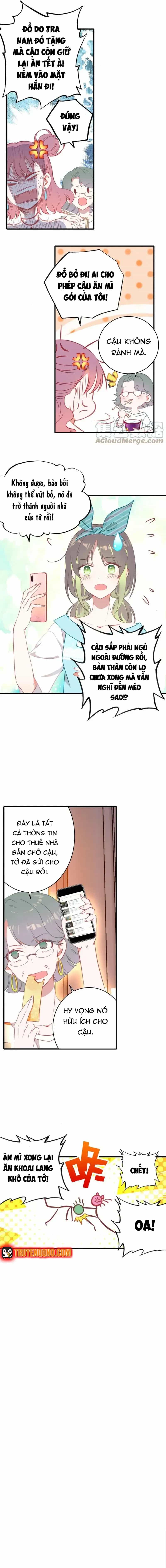 Xách Mèo Vào Ở - Chương 1 - ảnh 19