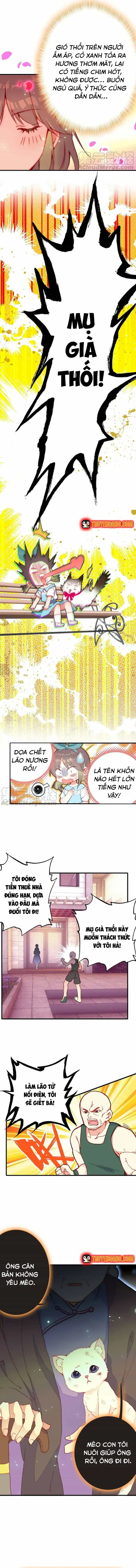 Xách Mèo Vào Ở - Chương 2 - ảnh 4