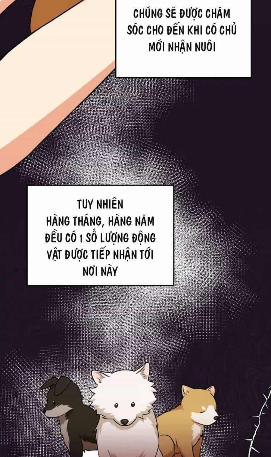 Xin Chào! Bác Sĩ Thú Y - Chương 17 - ảnh 35