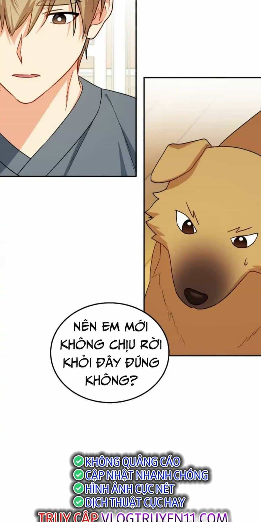 Xin Chào! Bác Sĩ Thú Y - Chương 19 - ảnh 9