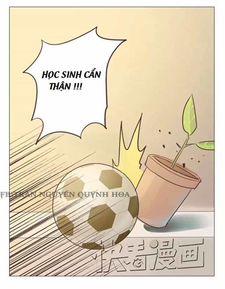 Xin Chào! Dân Nữ - Chương 11 - ảnh 13