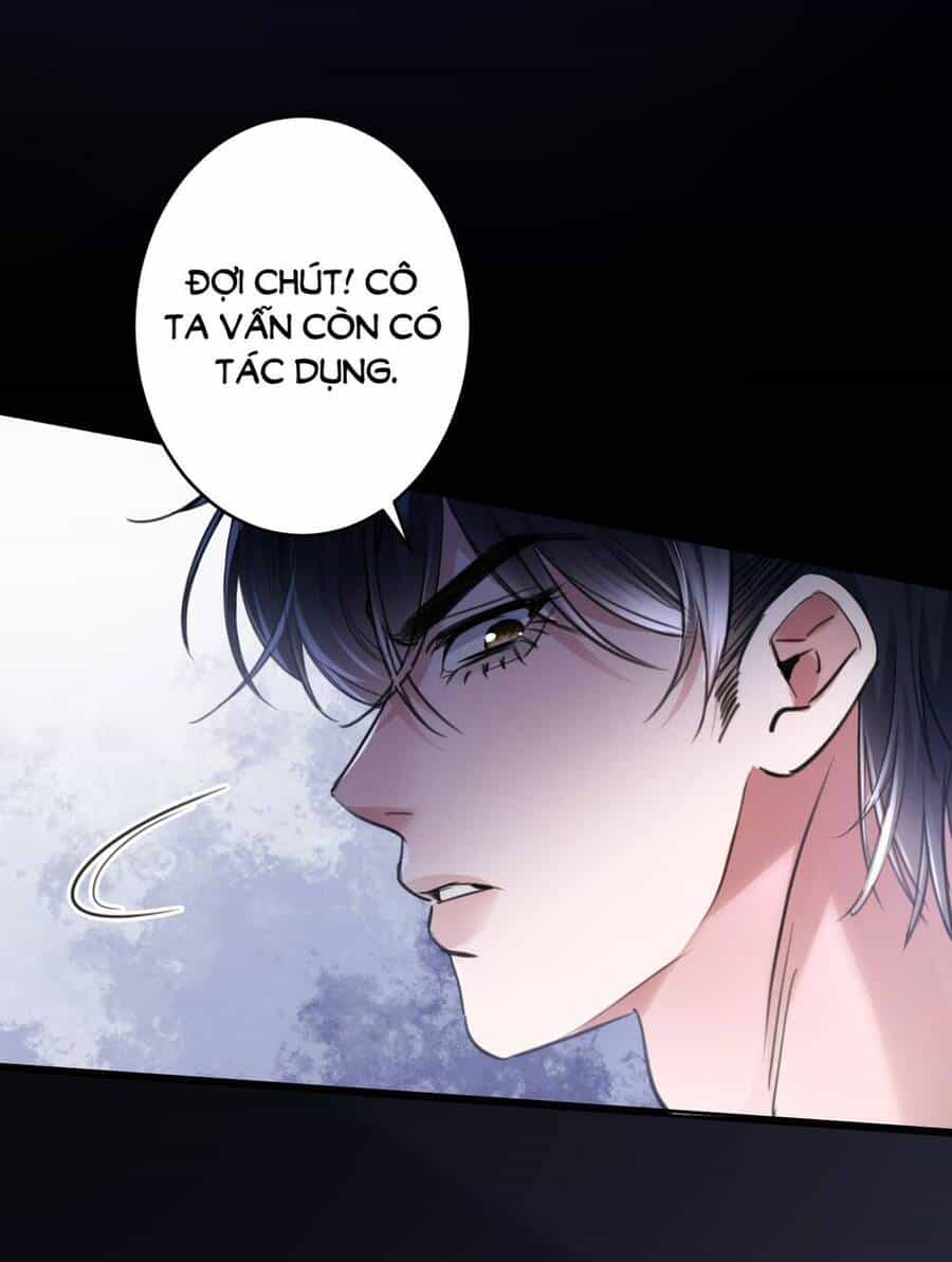 Xin Lỗi, Tôi Cũng Là Lão Đại - Chương 2 - ảnh 17