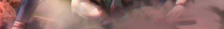 Xuân Thu Bá Đồ - Chương 304 - ảnh 33