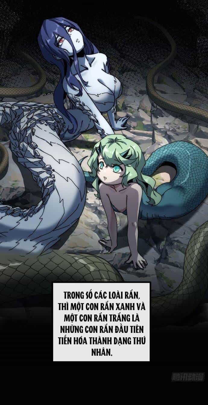 Xưng Bá Phế Thổ: Ta Ở Mạt Thế Chấp Chưởng Tiên Môn - Chương 11 - ảnh 15