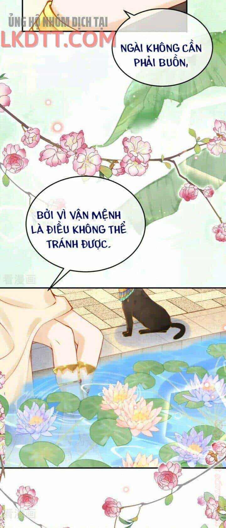 Xuyên Đến Ai Cập : Trở Thành Cô Dâu Của Vương - Chương 27 - ảnh 23