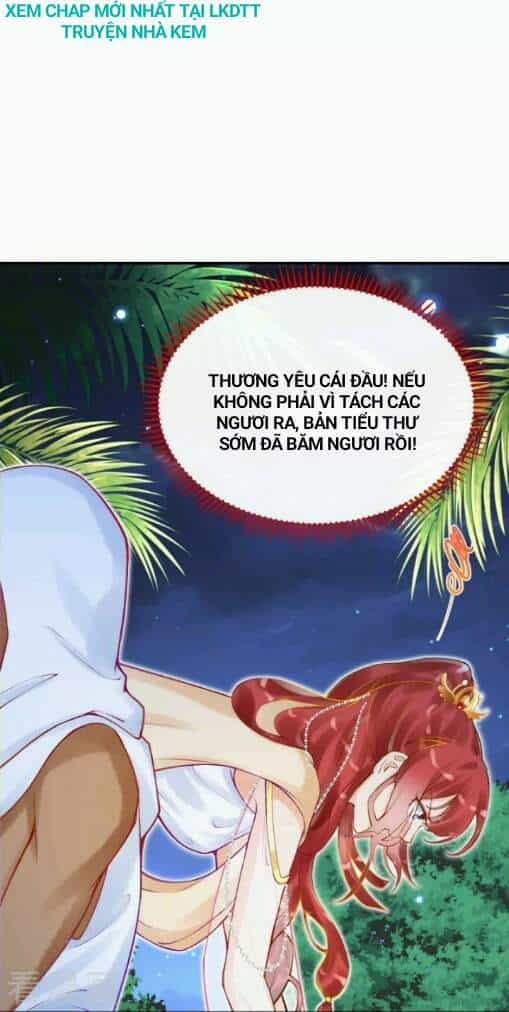 Xuyên Đến Ai Cập : Trở Thành Cô Dâu Của Vương - Chương 33 - ảnh 11
