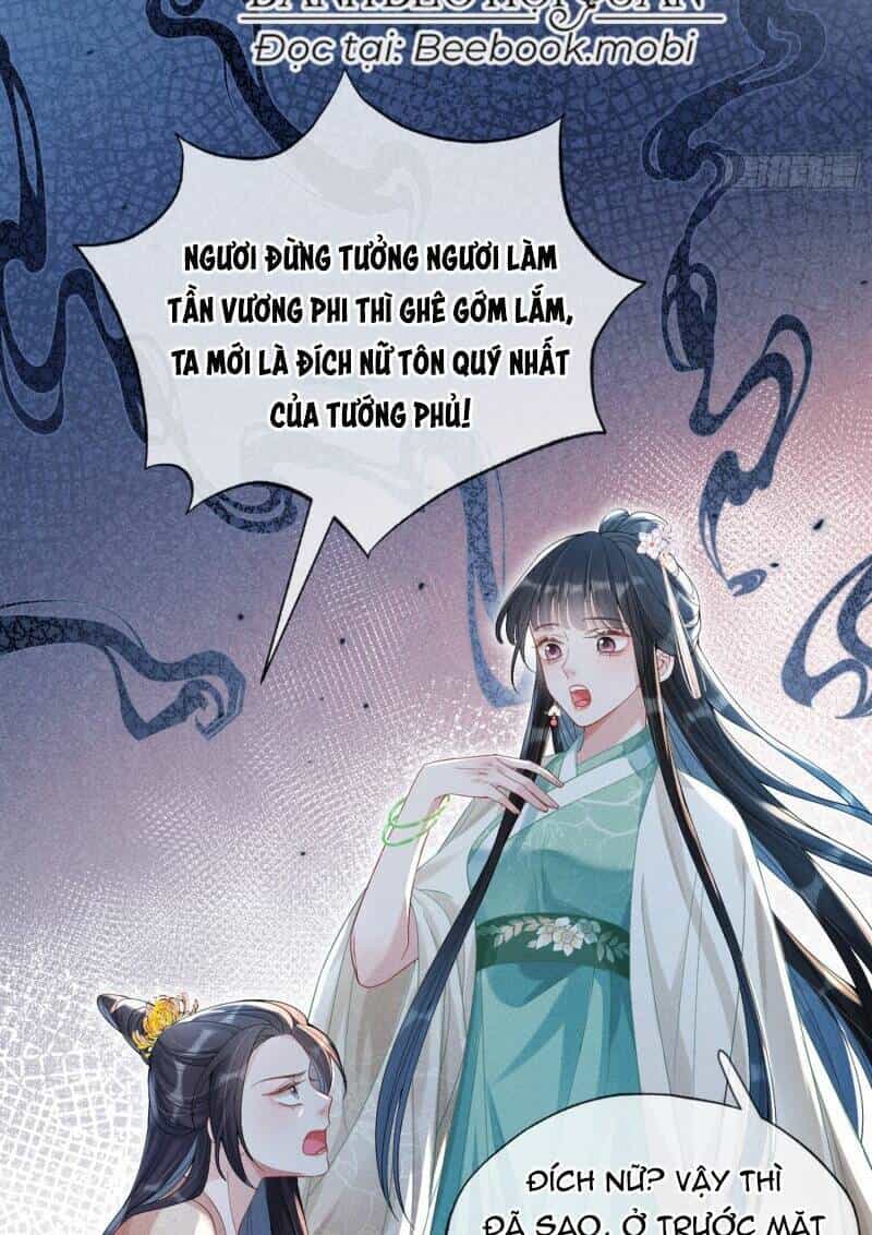 Xuyên Không Về Gả Cho Vương Gia Ốm Yếu - Chương 13 - ảnh 25