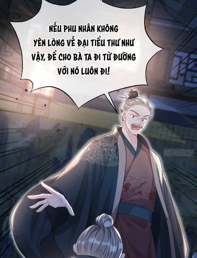Xuyên Không Về Gả Cho Vương Gia Ốm Yếu - Chương 14 - ảnh 33