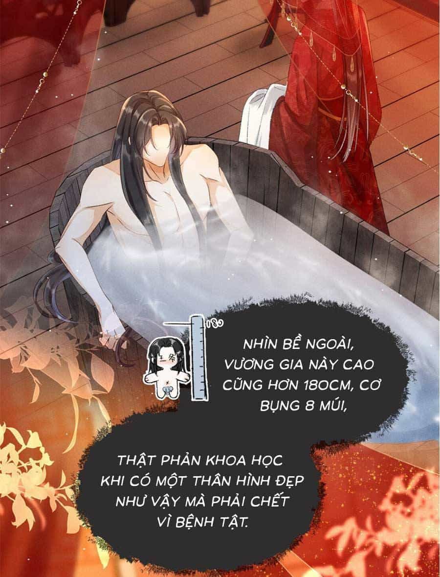Xuyên Không Về Gả Cho Vương Gia Ốm Yếu - Chương 3 - ảnh 19