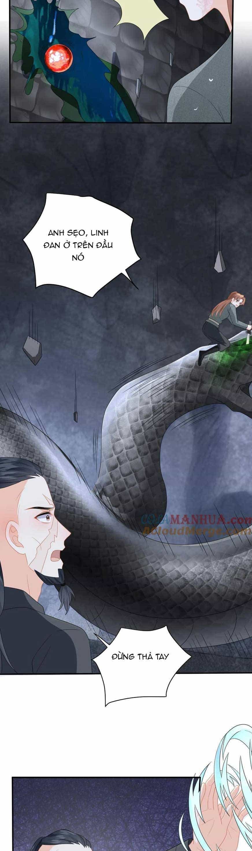 Xuyên Nhanh : Nhân Vật Phản Diện Quá Nuông Chiều Ta - Chương 181 - ảnh 14