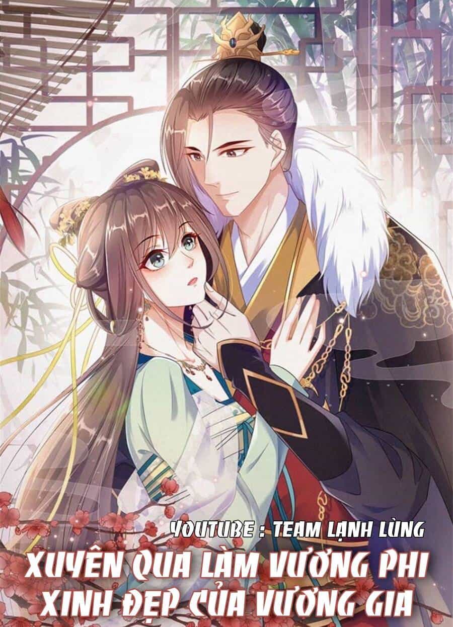 Xuyên Qua Làm Vương Phi Xinh Đẹp Của Vương Gia - Chương 23 - ảnh 1