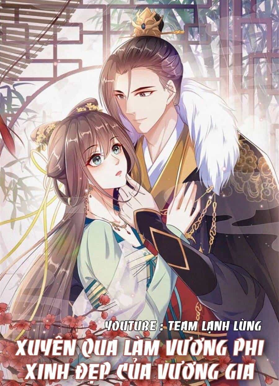 Xuyên Qua Làm Vương Phi Xinh Đẹp Của Vương Gia - Chương 28 - ảnh 1