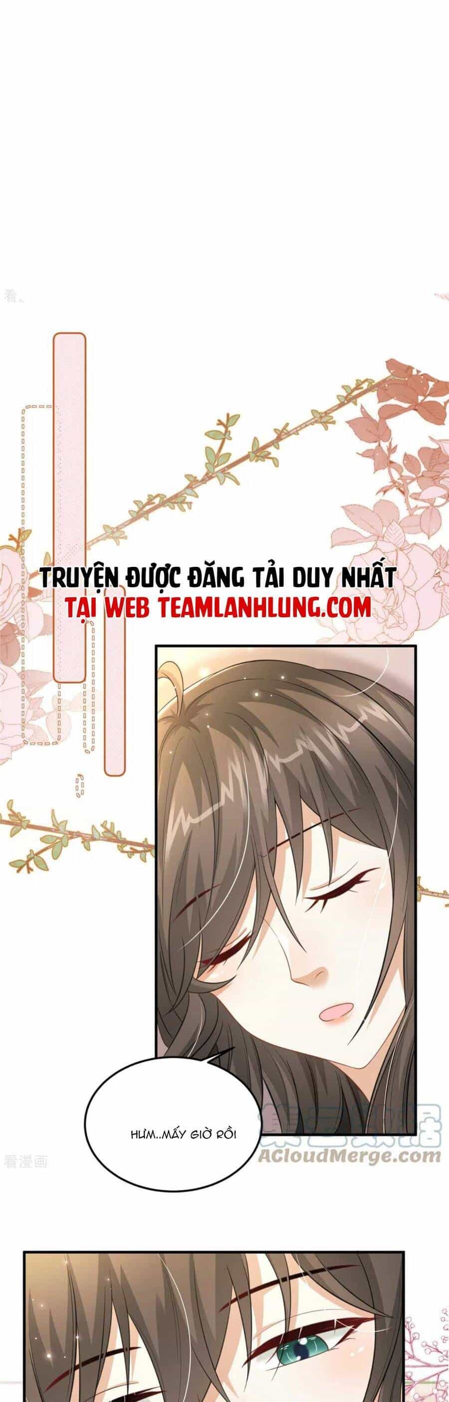 Xuyên Qua Làm Vương Phi Xinh Đẹp Của Vương Gia - Chương 33 - ảnh 17