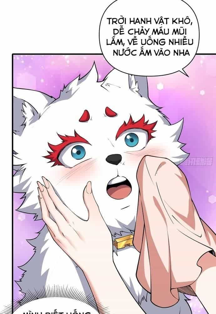 Xuyên Qua Thành Npc Xui Xẻo: Ta Có Lão Bà Che Chở - Chương 13 - ảnh 13
