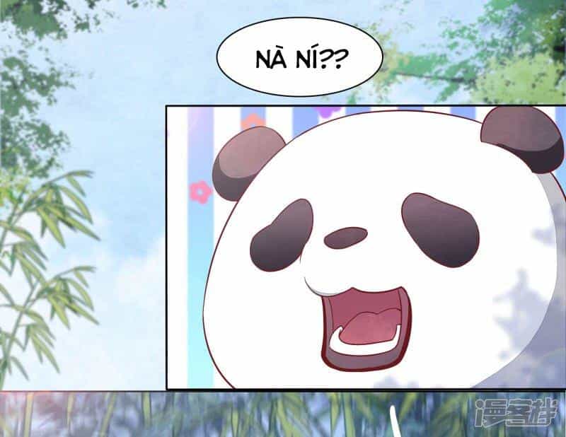 Xuyên Về Cổ Đại Làm Quốc Bảo - Chương 0 - ảnh 14
