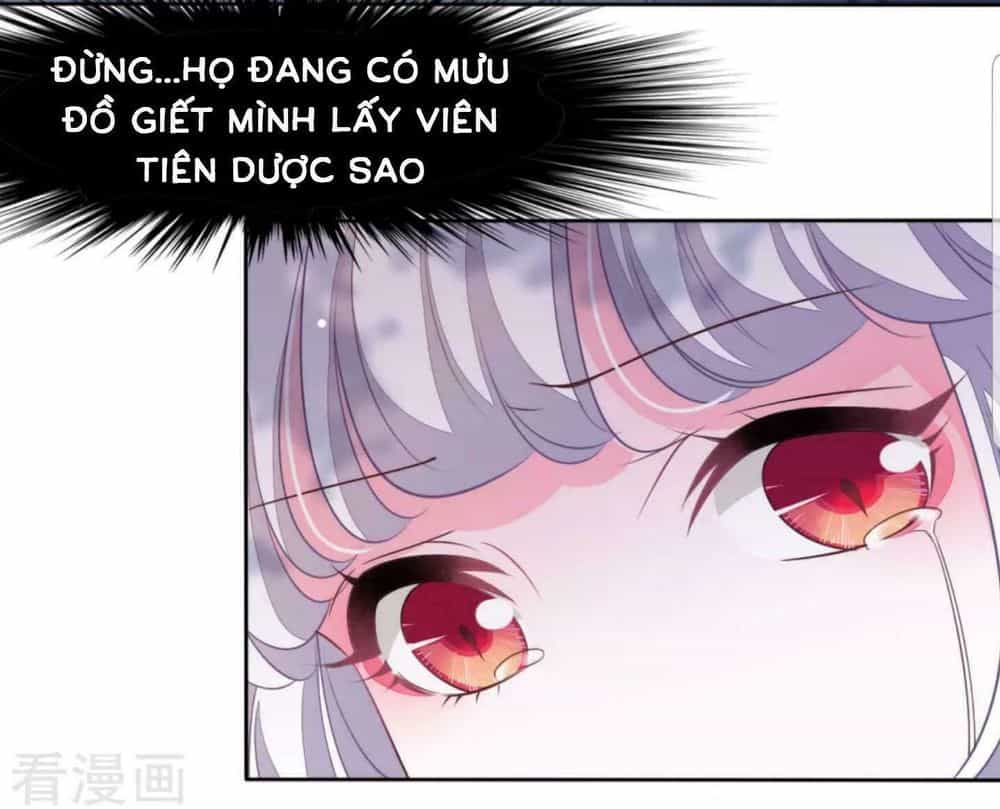 Xuyên Về Cổ Đại Làm Quốc Bảo - Chương 26 - ảnh 15