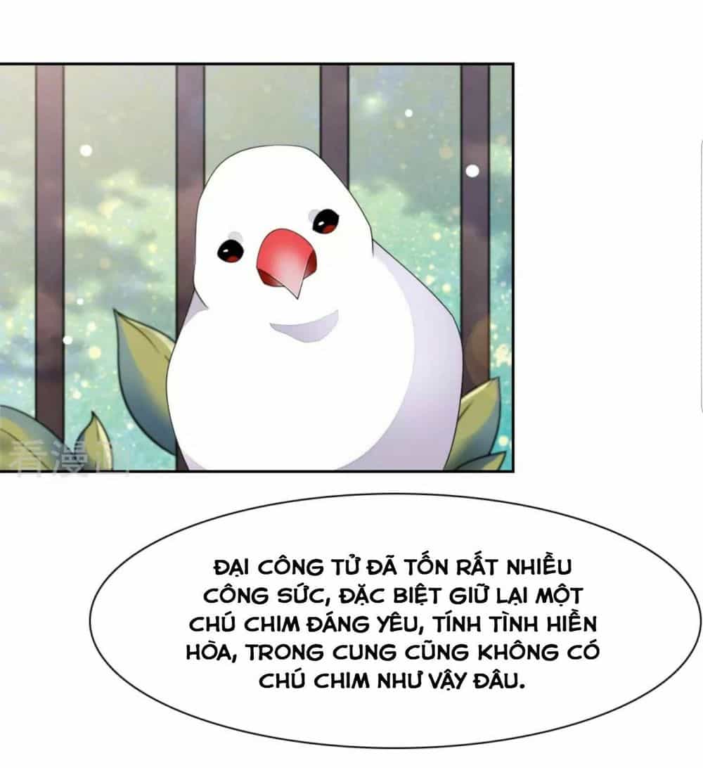 Xuyên Về Cổ Đại Làm Quốc Bảo - Chương 48 - ảnh 26