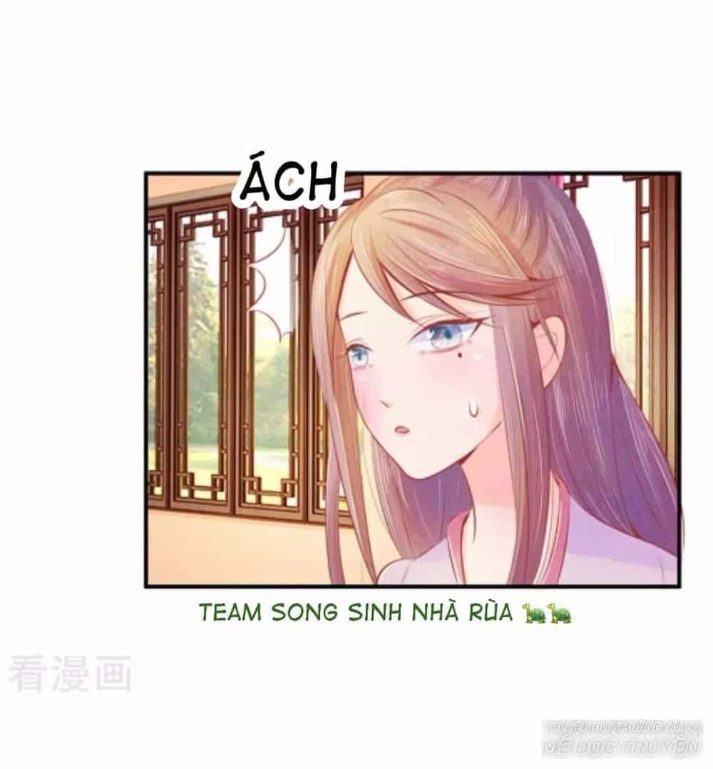Y Phi Quyền Khuynh Thiên Hạ - Chương 7 - ảnh 6