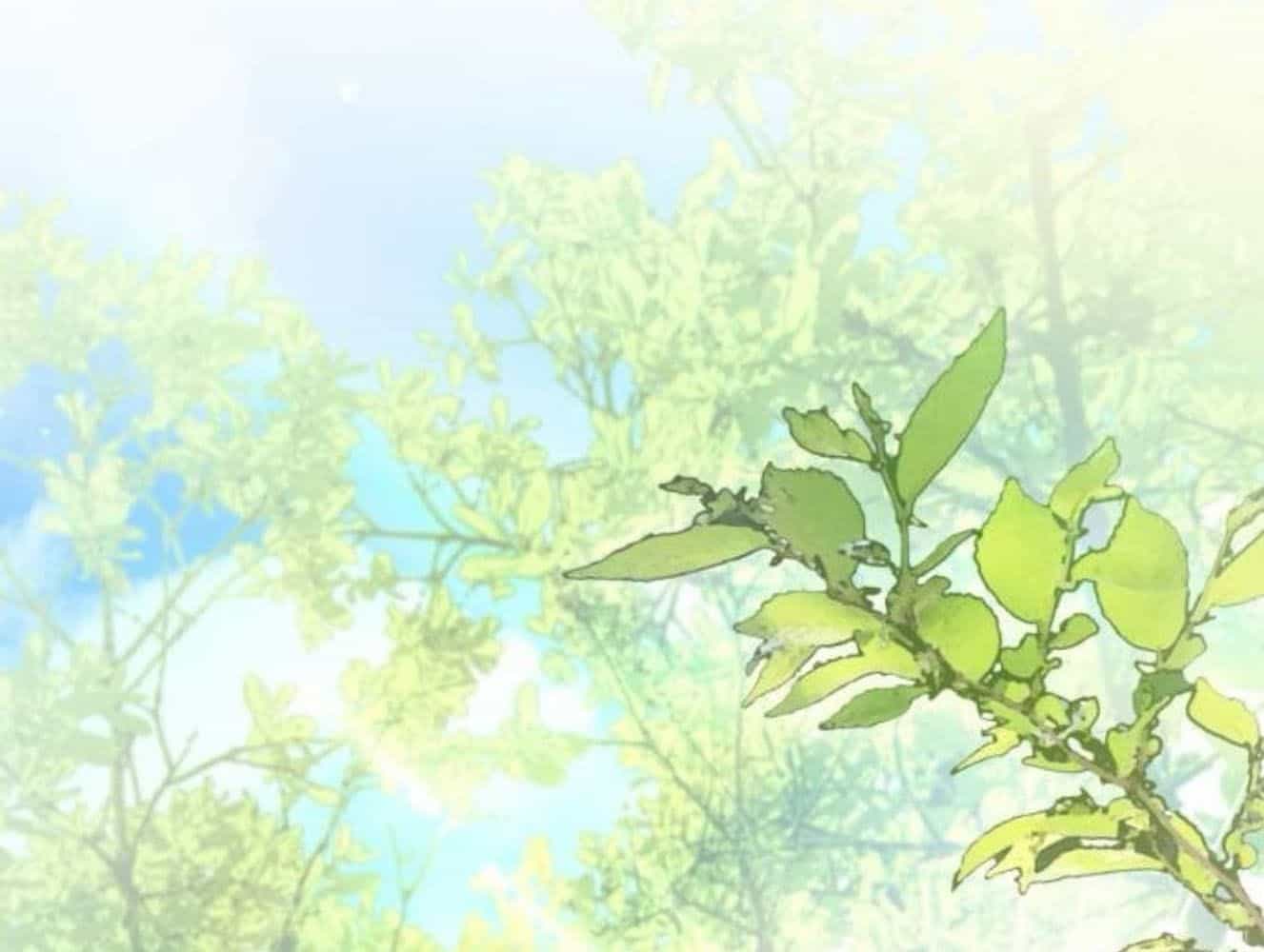 Yeonwoo's Innocence - Chương 181 - ảnh 101
