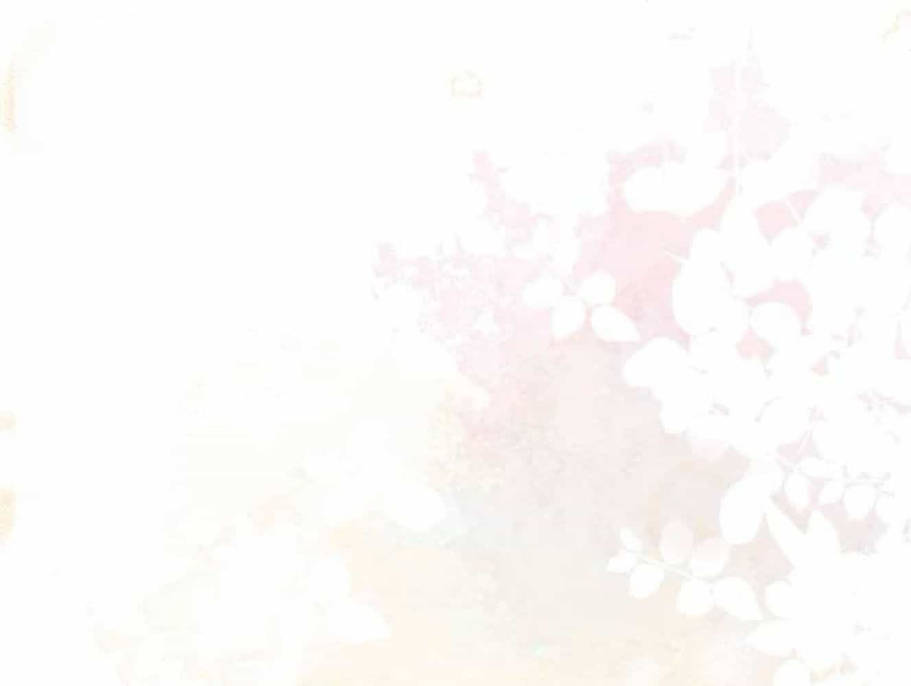 Yeonwoo's Innocence - Chương 181 - ảnh 200