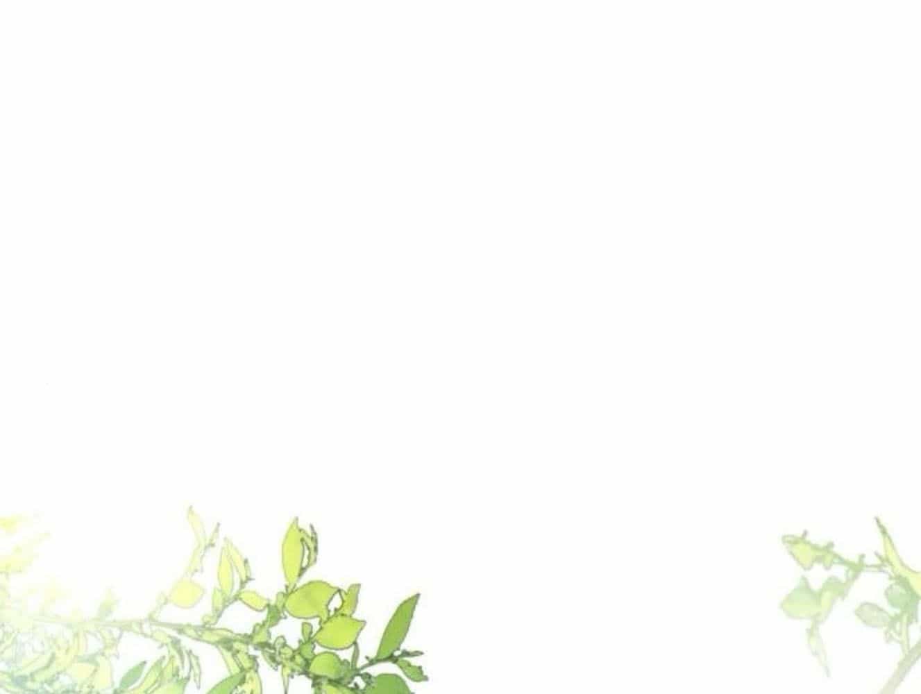 Yeonwoo's Innocence - Chương 181 - ảnh 43