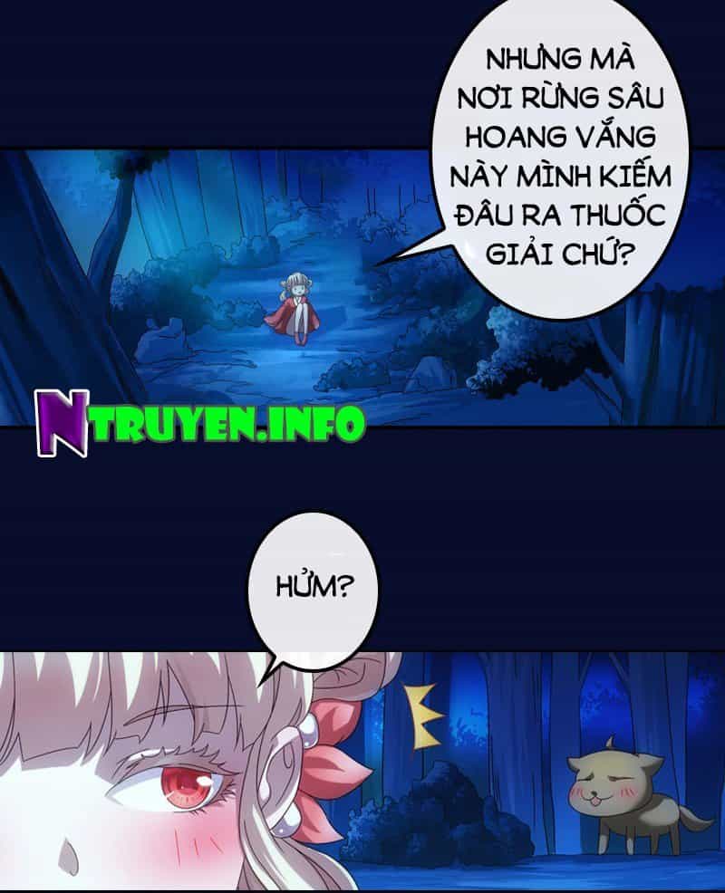 Yêu Phi Bám Lấy Không Buông - Chương 2 - ảnh 6