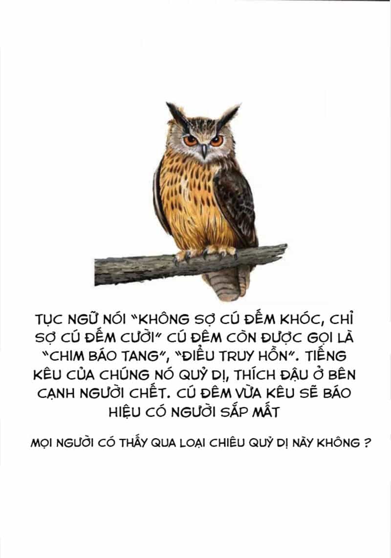 Yêu Phụ - Chương 2 - ảnh 25